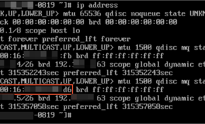 p144007.png